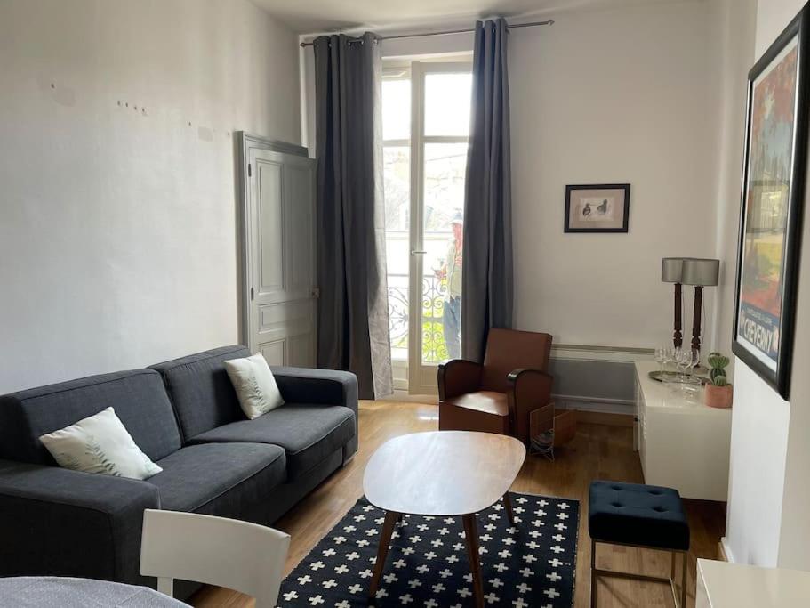 ~Rosa Bonheur~Hyper Centre Apartment Blois Ngoại thất bức ảnh