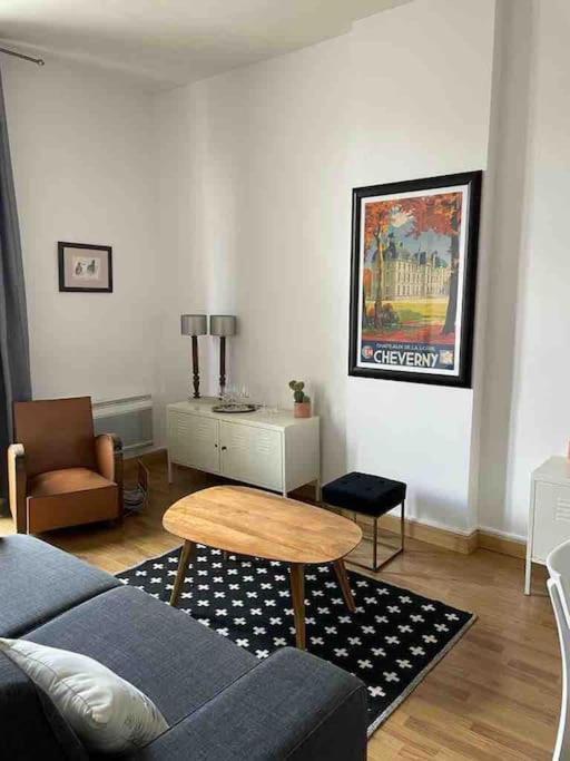 ~Rosa Bonheur~Hyper Centre Apartment Blois Ngoại thất bức ảnh