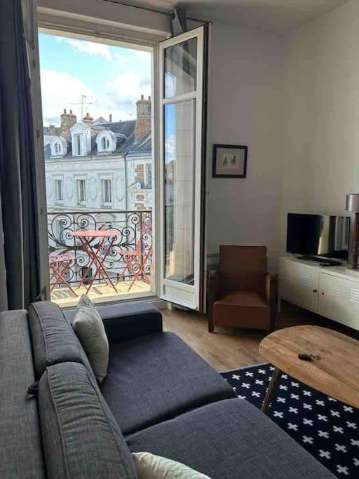 ~Rosa Bonheur~Hyper Centre Apartment Blois Ngoại thất bức ảnh